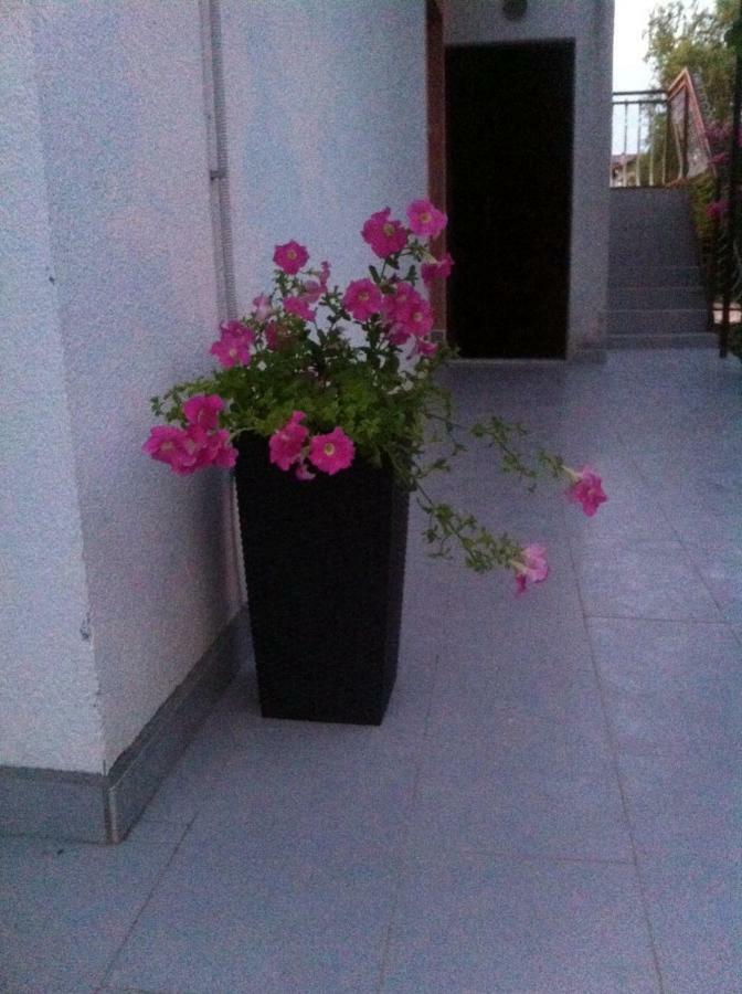 Apartmani Jadranka Vodice Exteriör bild